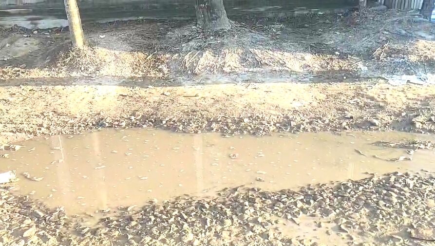 গাগলাচড়া-বিলাইপুর রাস্তায় কাদা ভরা সড়ক, যা রক্ষণাবেক্ষণের অভাবে চলাচল কঠিন করে তুলেছে।