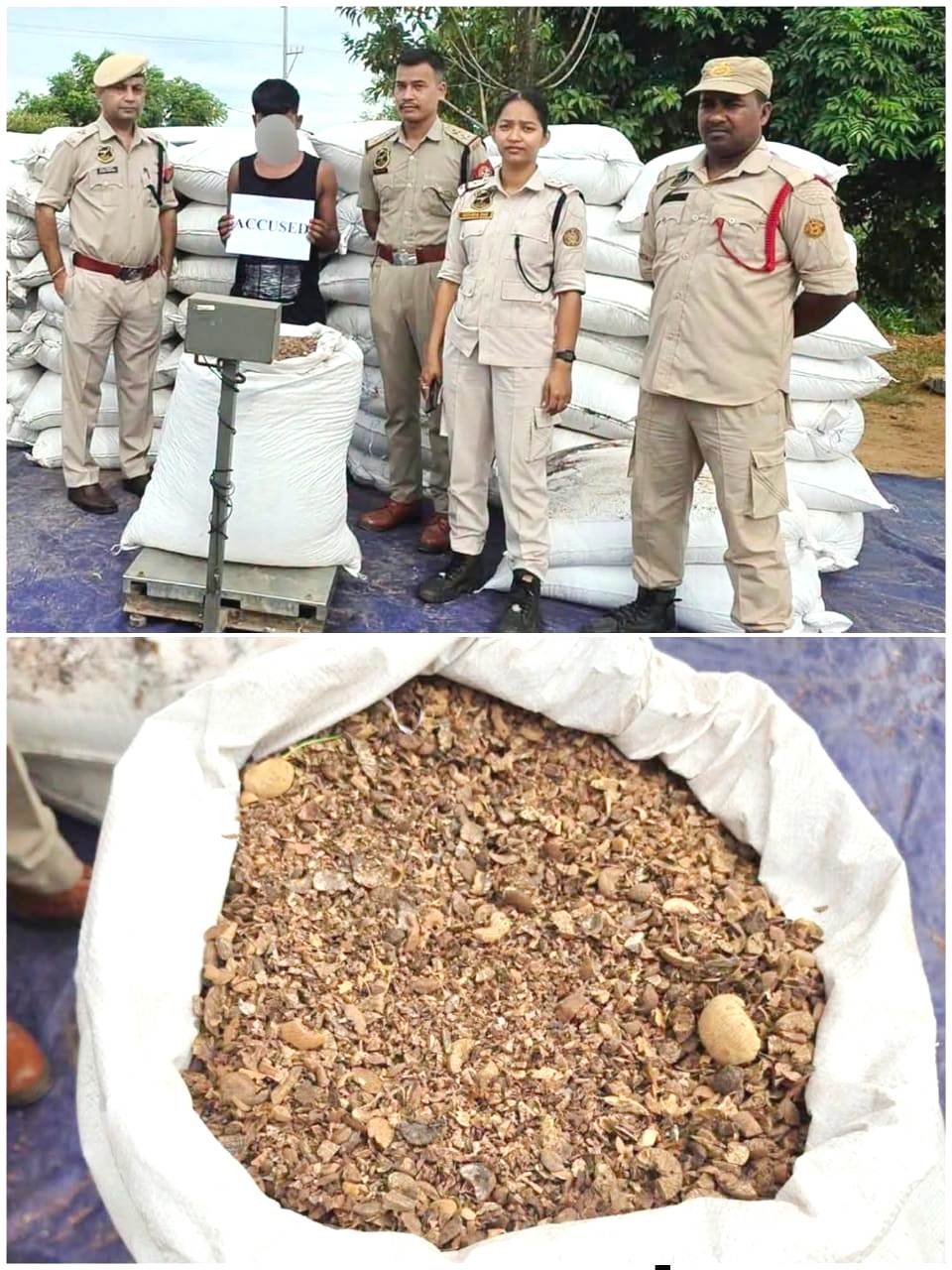 শিলচর বাইপাসে পুলিশের অভিযানে ২২৫০ কেজি বার্মিজ সুপারি বোঝাই লরি আটক, গ্রেফতার এক